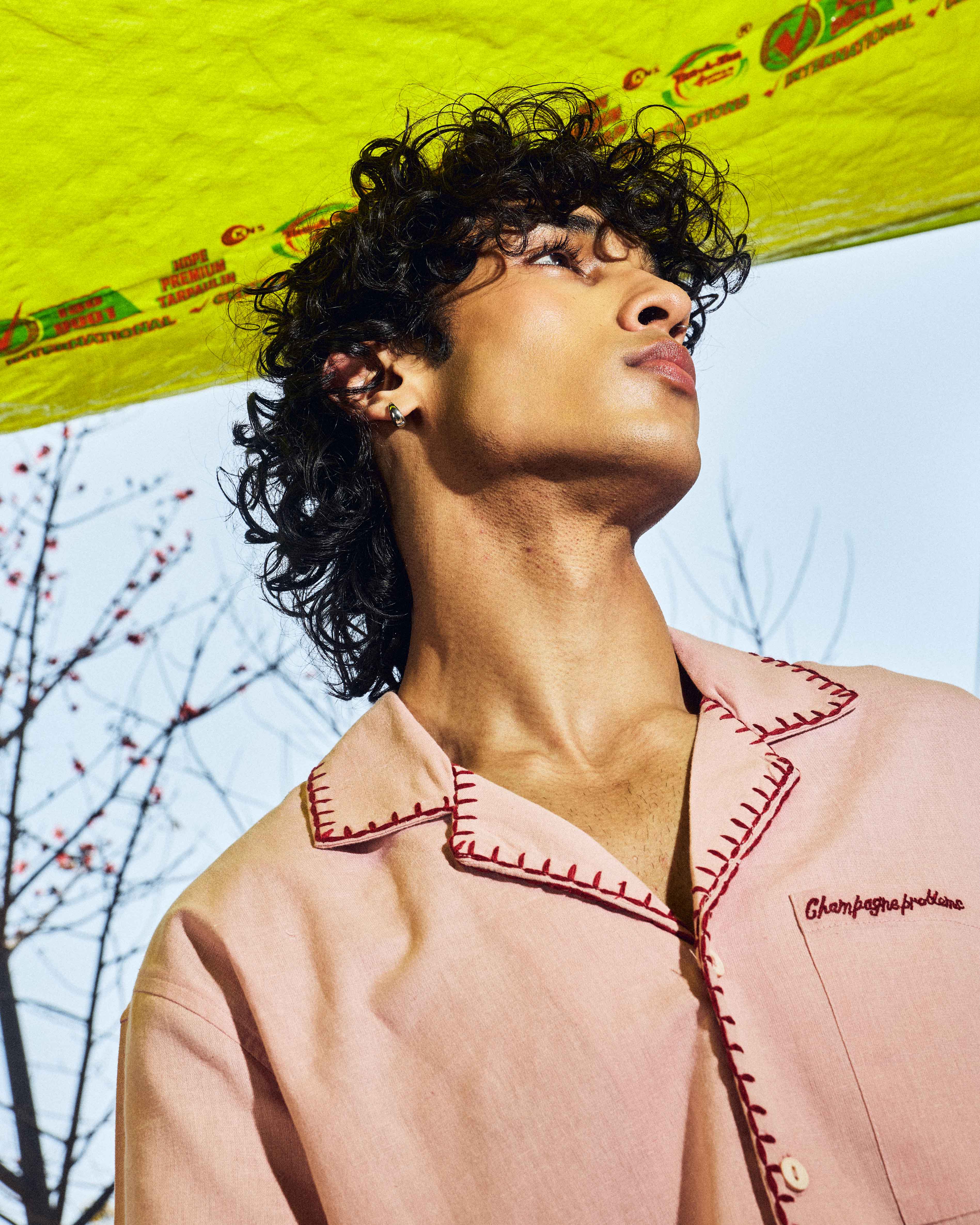 Tuscan Picnic Embroidered Cuban Shirt - Image 4